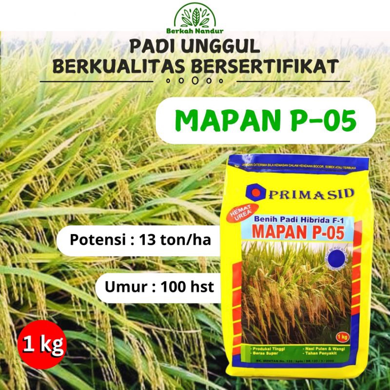 Original Benih Padi Mapan 05 1 kg