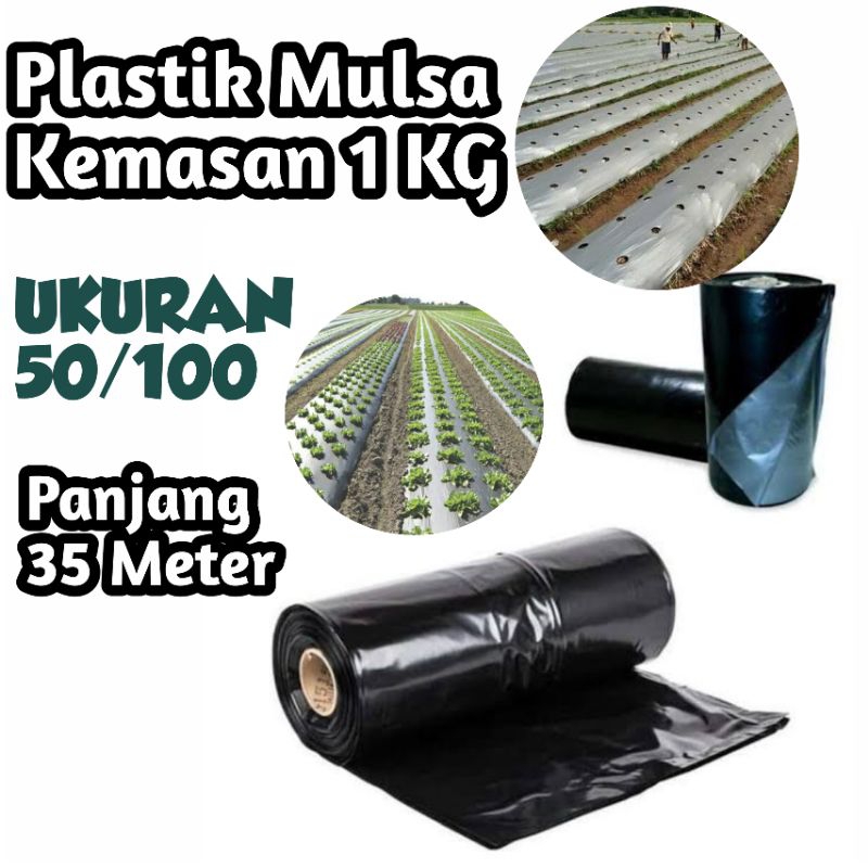 PLASTIK MULSA KILOAN 50/100 PANJANG 35 METER - PLASTIK MULSA HITAM PERAK - PLASTIK MULSA KEMASAN