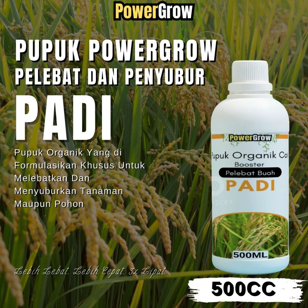 Pupuk Padi Organik Cair Penyubur Tanaman Booster Padi Pemacu Pertumbuhan Anakan Padi