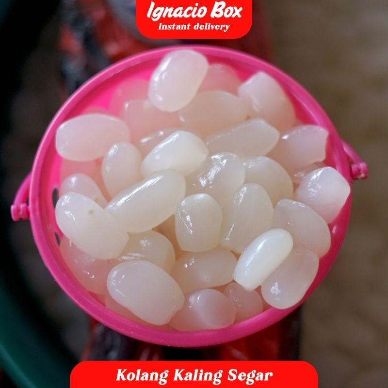 

KOLANG KALING SEGAR 1KG