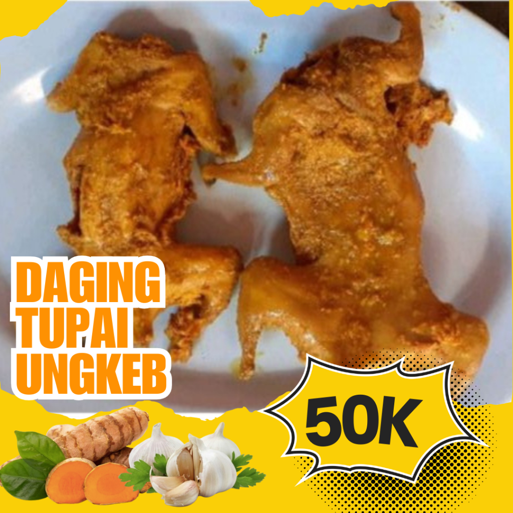 

DAGING TUPAI BUMBU KUNING SIAP GORENG DAN BAKAR PER 2 EKOR- DAGING TUPAI KELAPA ENAK BERHASIAT