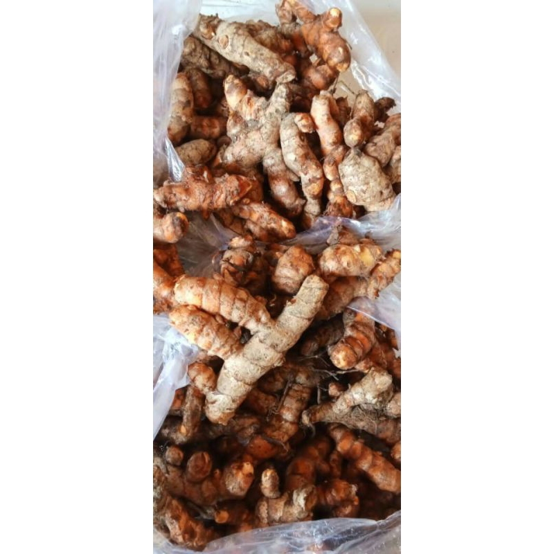 

KUNYIT/ KUNIR SEGAR