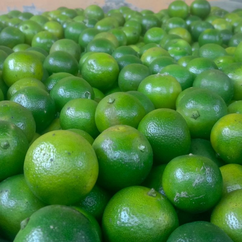 

5KG JERUK SONKIT / JERUK KASTURI / JERUK KUNCI