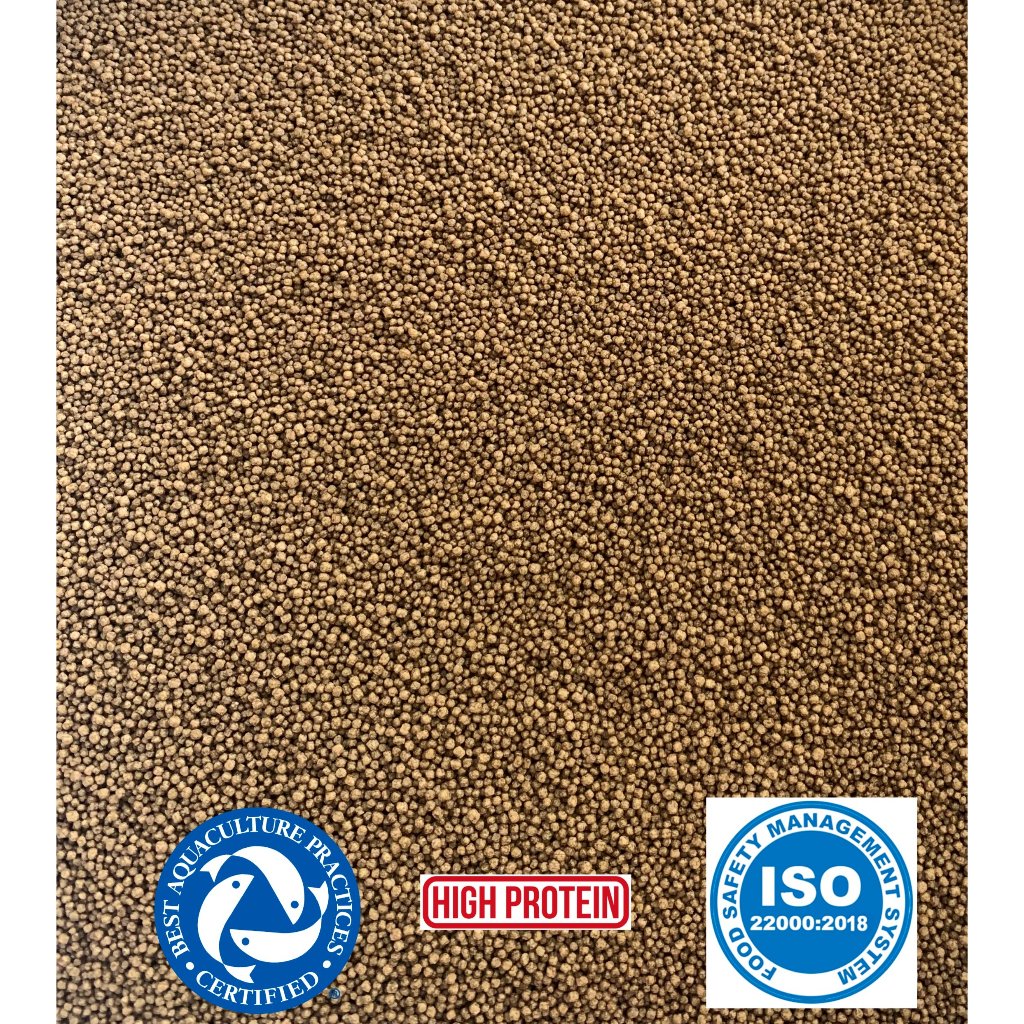 kjg Pelet pakan bibit ikan kecil super (1kg) ikan hias koki glofish cupang neon cardinal danio