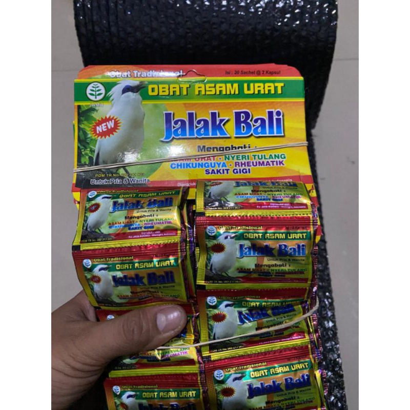 KAPSUL JALAK BALI