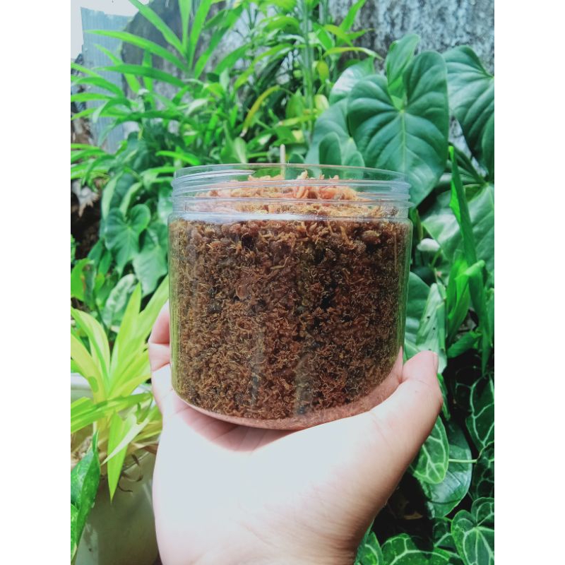 

ABON TONGKOL KEMASAN 300GR || Abon Homemade || Abon Mpasi