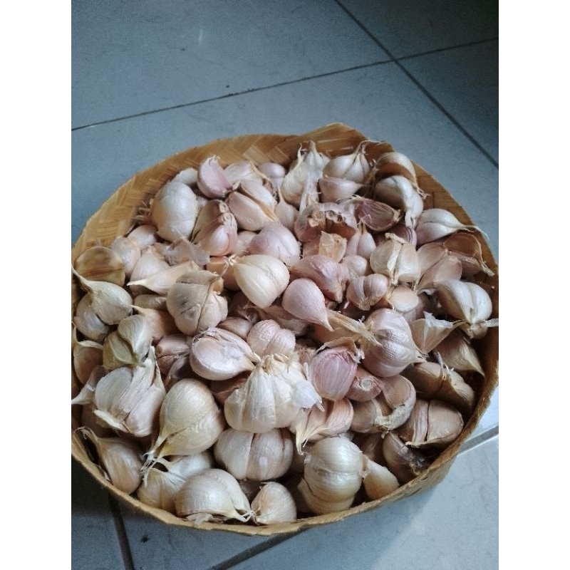 

bawang putih kating 1 kg