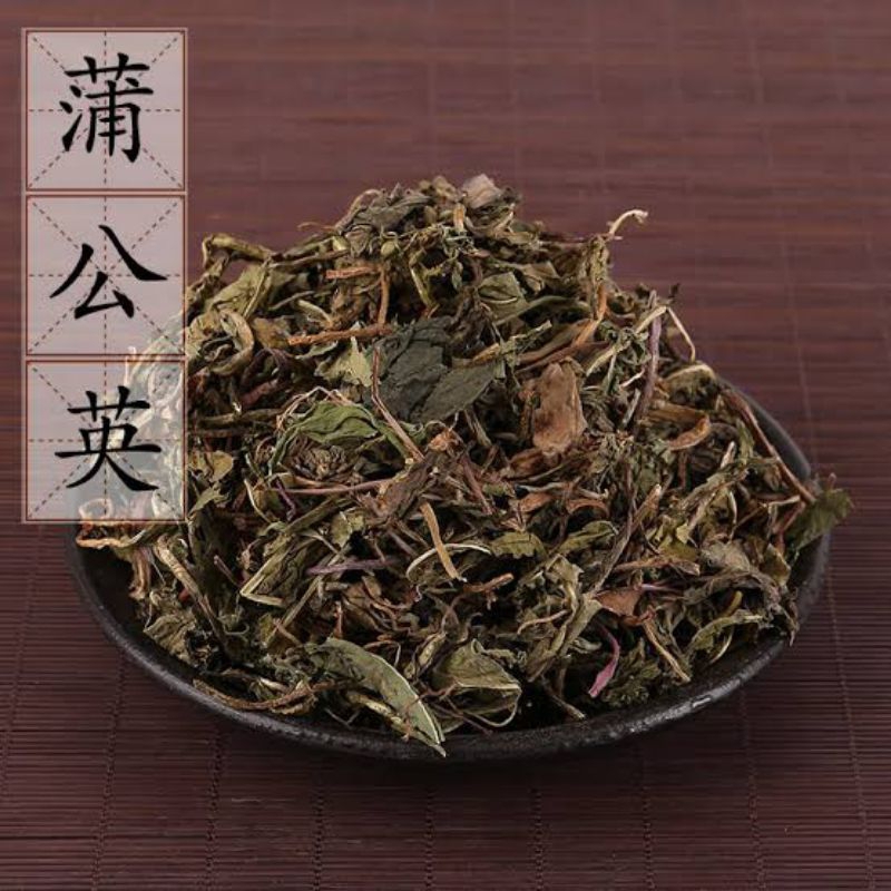

Pu Gong Ying Cao/ 蒲公英草/ Taraxacum mongolicum