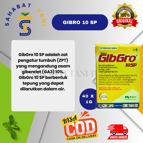 GIBRO 10 SP - ZPT (ZAT PENGATUR TUMBUH)