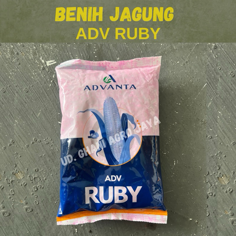 Benih Jagung ADV RUBY @1Kg