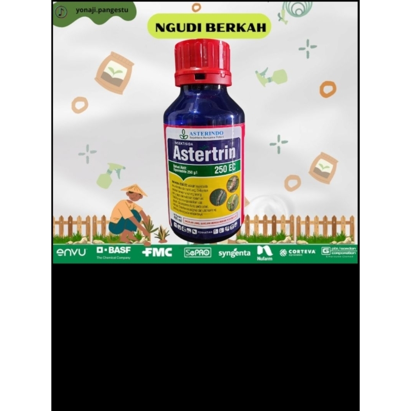 astertrin pembasmi lalat buah dan ulat buah pada tanaman
