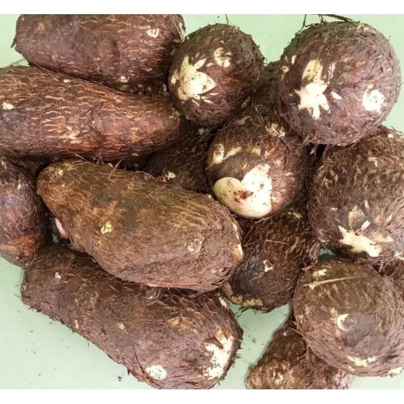 

Talas balitung kimpul ukuran sedang 1kg