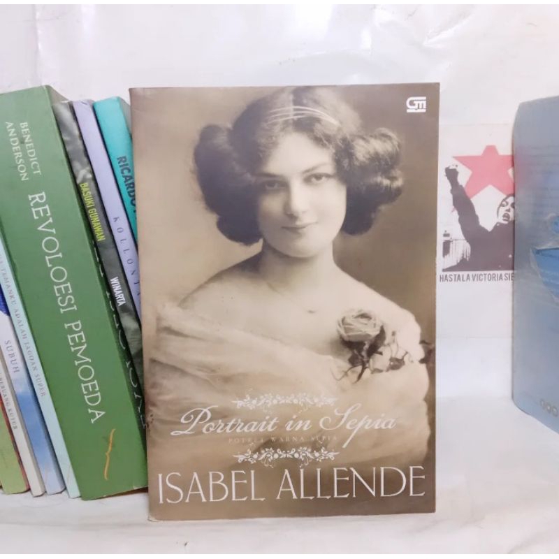 Buku-buku Isabel Allende / Potret Warna Sepia / Buku Catatan Maya / Di Tengah Musim Dingin / Putri K