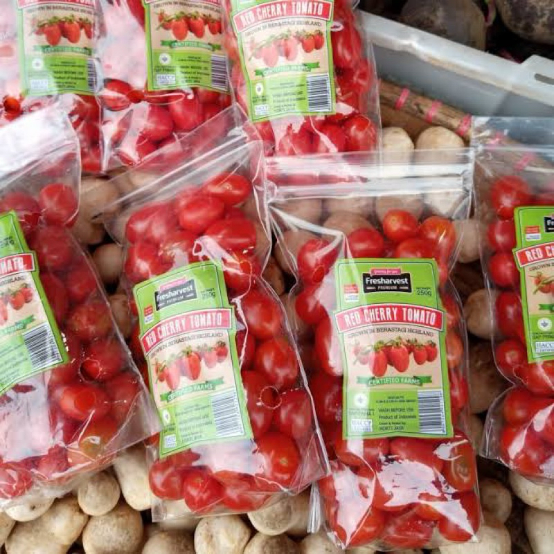 

Buah Tomat Chery / Tomat Sambal Pack