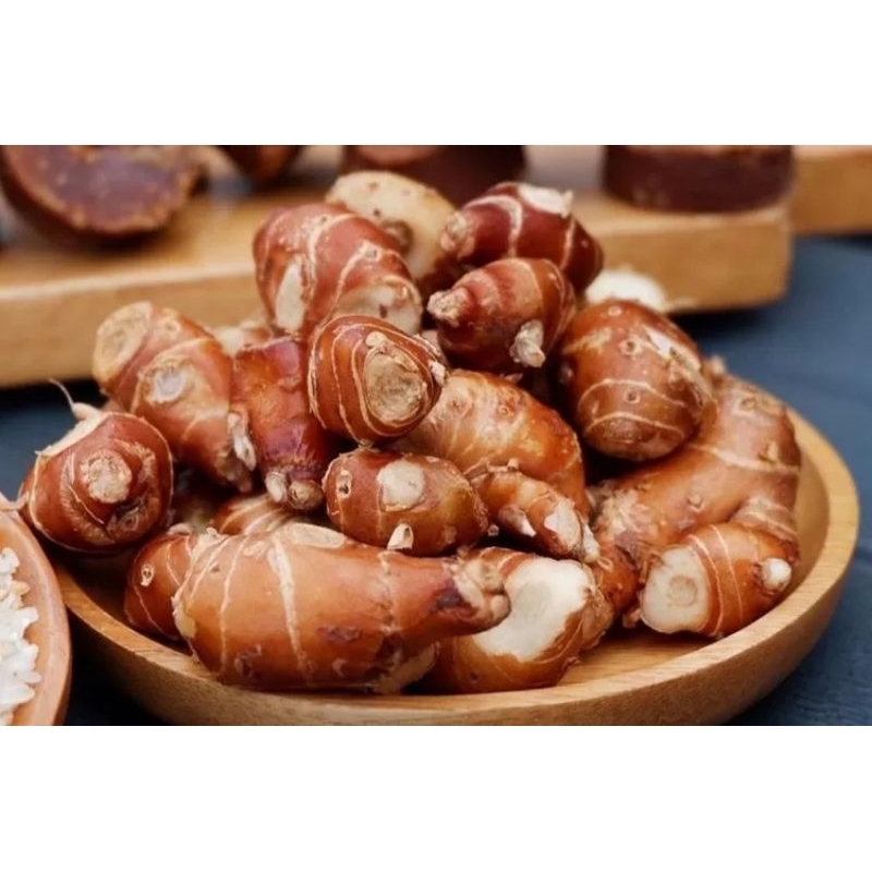 

kencur fresh segar 1kg