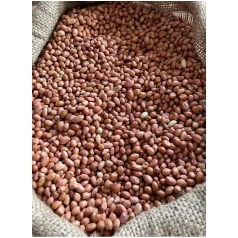 

Kacang Tanah Mentah 1kg