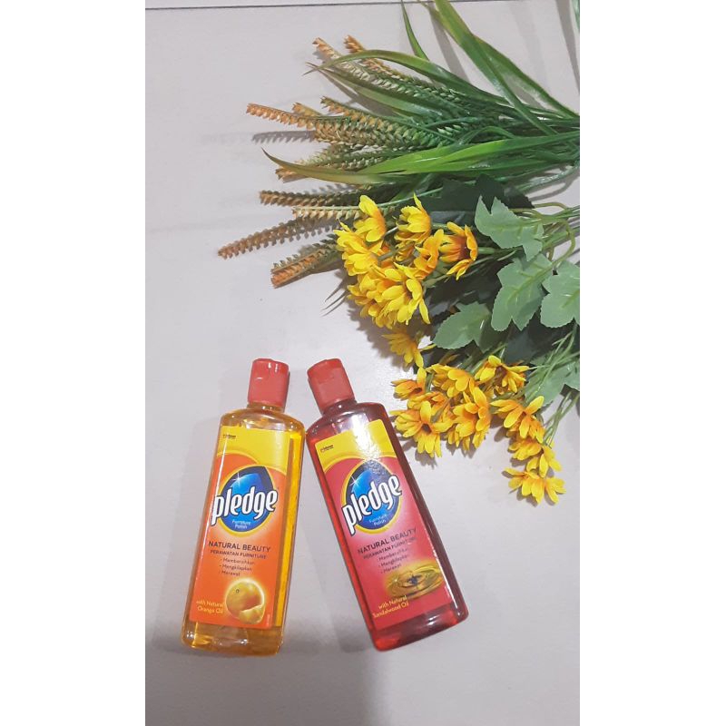 Pledge Pembersih Kayu Jati