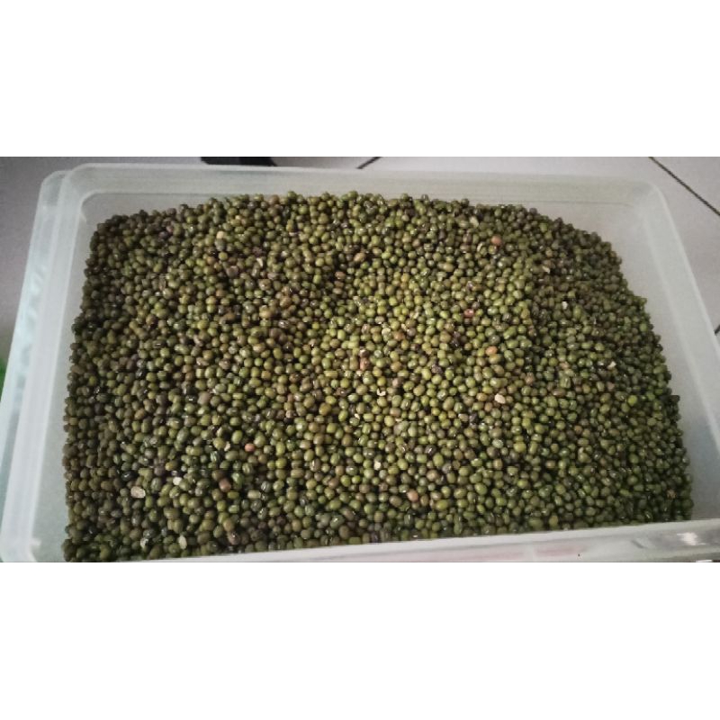 

kacang hijau super kemasan