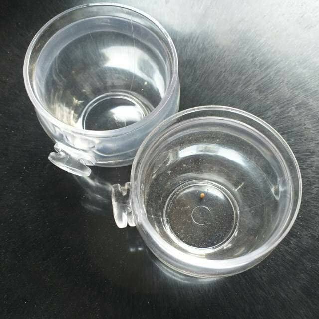 mika bulat jumbo temapt makan minum burung ukuran besar