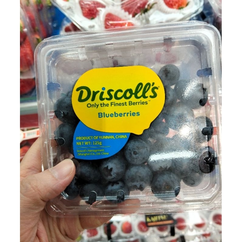

Driscolls Blueberries 125g / Blueberry Impor / Blueberry Segar