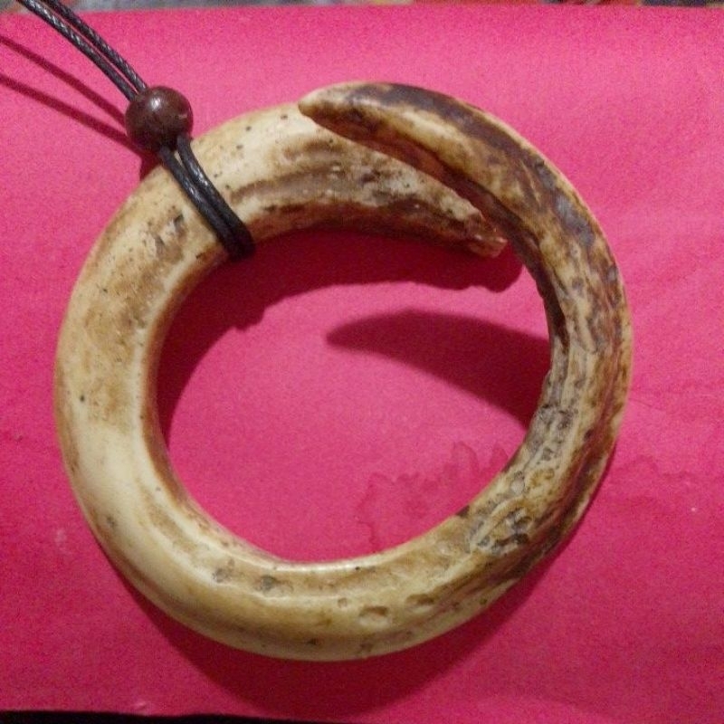 kalung/koleksi taring babi melingkar