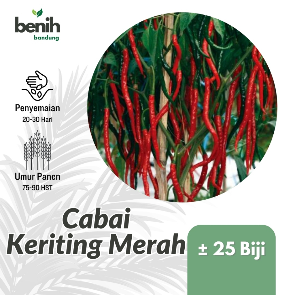 20 Benih Cabe Merah Keriting Bibit Cabai Unggul Tahan Virus
