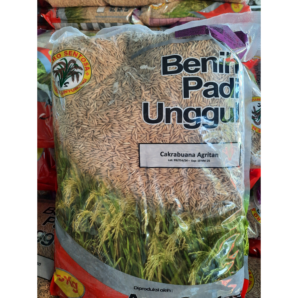 Benih Padi Cakrabuana Agritan