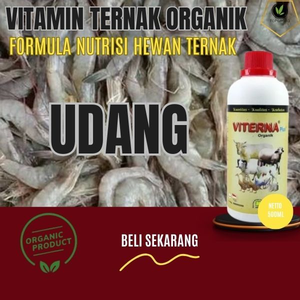 Vitamin Udang Vaname Agar Cepat Besar / Vitamin Udang / Galah / Tambak / Windu / Probiotik Udang