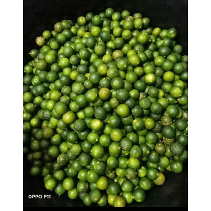 

1 kg jeruk sonkit/ jeruk kasturi/ kalamansi / lemon cui / jeruk kunci