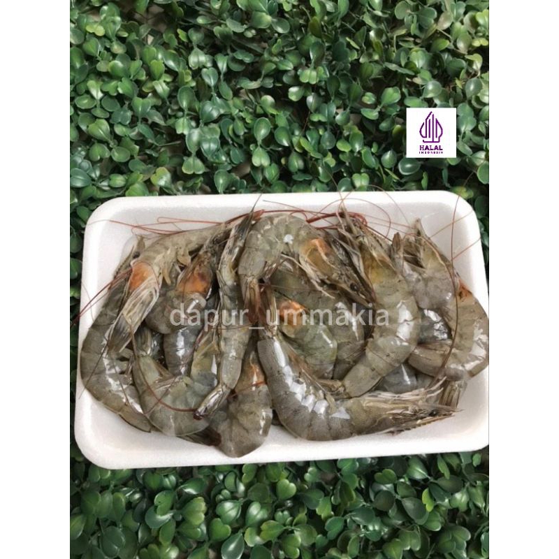 

Udang Udang Mentah 1000gram 500gram 250gram