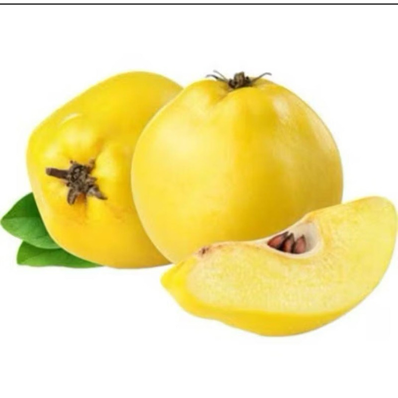 

Buah safarjal/Buah aywa buah banyak manfaat