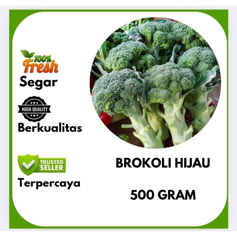 

BROKOLI HIJAU | 500 GRAM | Bahan Dapur .id