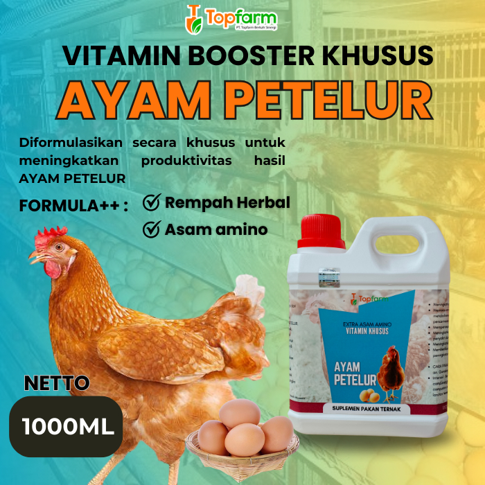 Vitamin Ayam Petelur 1LITER/ Vitamin Produktifitas Ayam Petelur/ Vitamin Booster Ayam Petelur/ Obat 