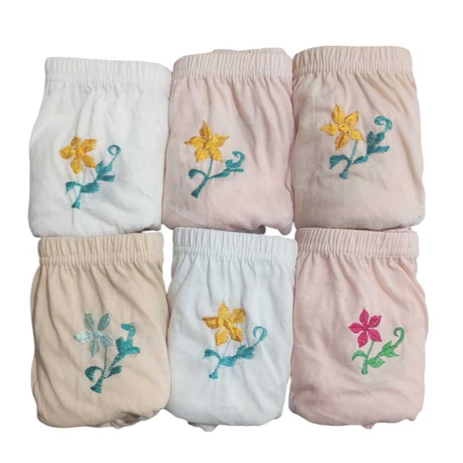 6 PCS CELANA DALAM WANITA DEWASA | CD BORDIR JUMBO TANPA LEBEL ART 8325