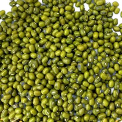 

Blue Ribbon Mungbean - Kacang Hijau Blue Ribbon Mungbean Repack 500gr