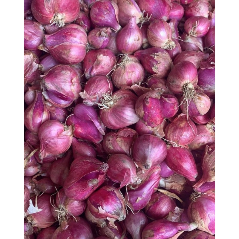 

KEBUN RAYA -Bawang Merah Kecil Ulegan 1kg