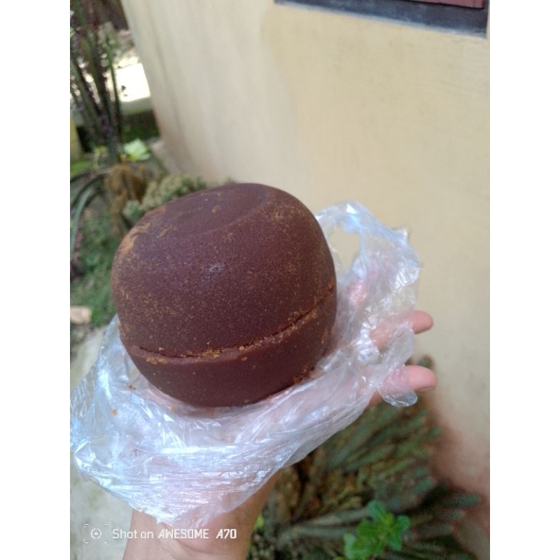 

gula aren asli