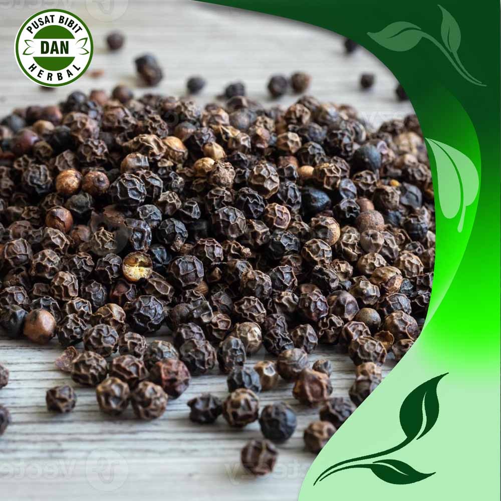 

lada kering super 100 gram rempah rempah terbaik