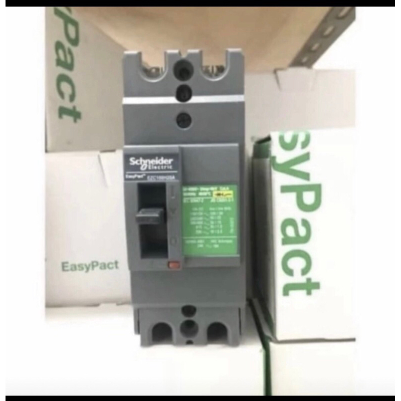 MCCB EZC 2p 100H SCHNEIDER