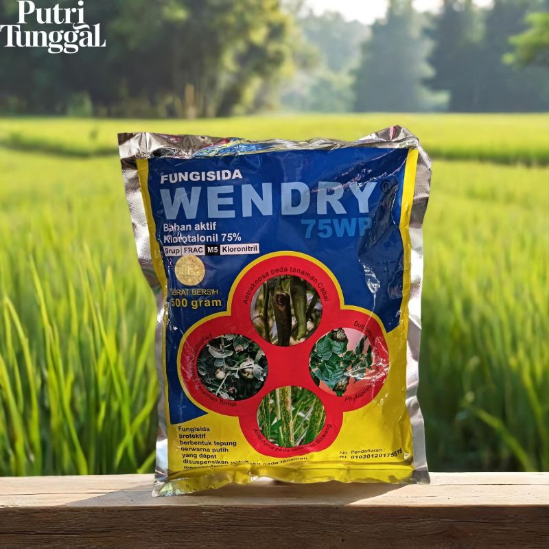 Wendry 75WP fungisida protektif berbahan aktif klorotalonil