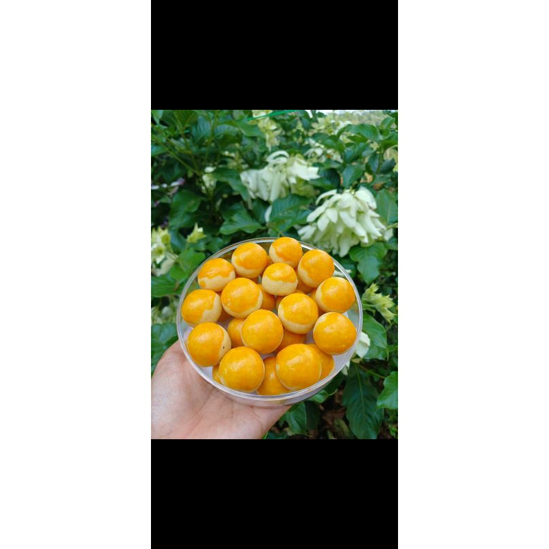 

kuker lebaran 1 paket isi 5 varian