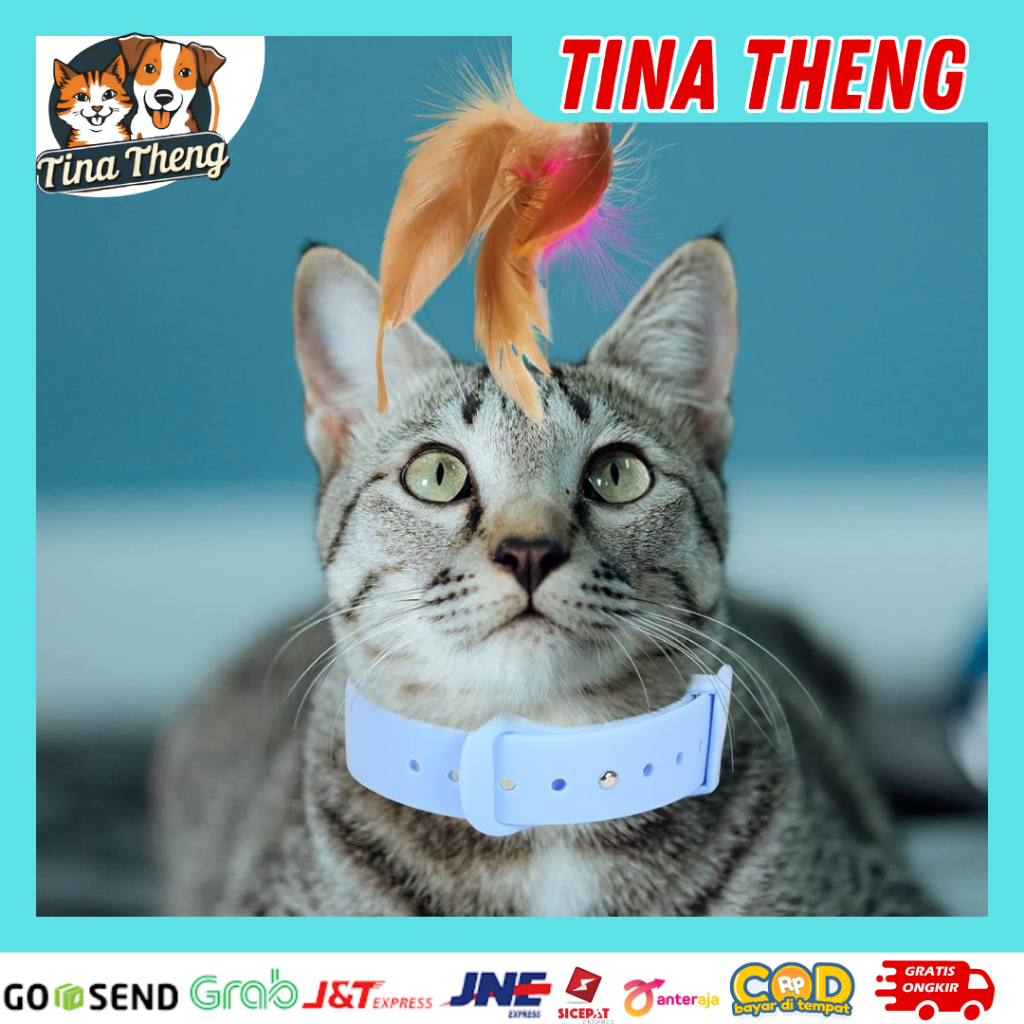 Collar Bulu Kalung Kucing Tongkat Bulu Mainan Kucing Dengan Lonceng Teaser Stick Cat Toy Kalung Main