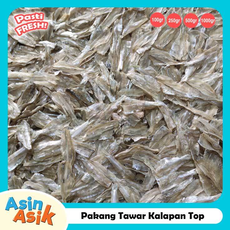 

Ikan Asin Pakang / Pakkang Tawar Kalapan Top Premium Kualitas Super Segar Fresh