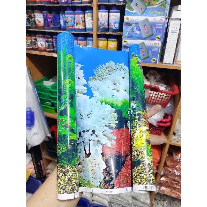 BACKGROUND GAMBAR AQUARIUM // 30 CM // AQUARIUM // AQUASCAPE