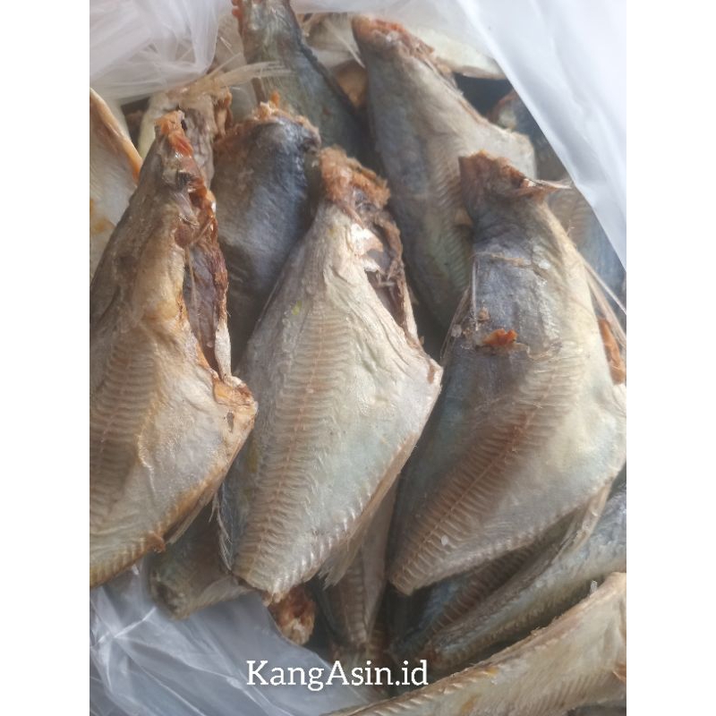 

IKAN ASIN PEDA BENTONG/peda buntung250gr