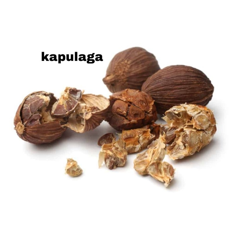

kapulaga kering
