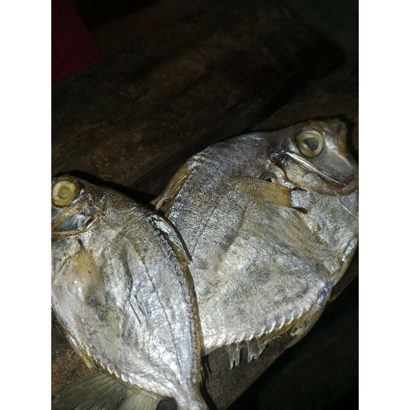 

ikan duk duk asin