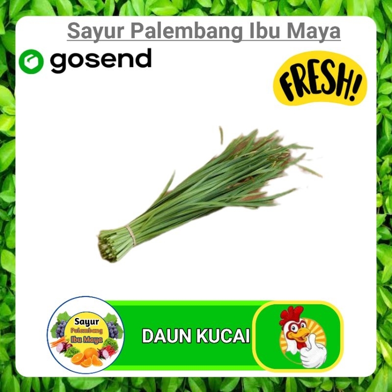 

Daun Kucai Segar per ikat - Sayur Palembang