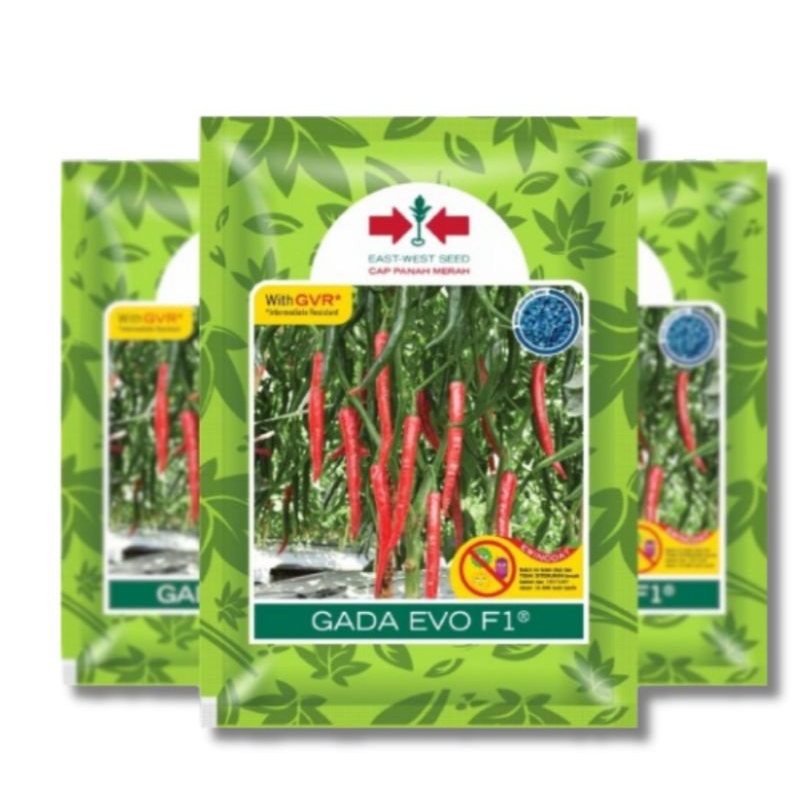 benih/bibit cabe besar GADA EVO F1 isi 2250 biji