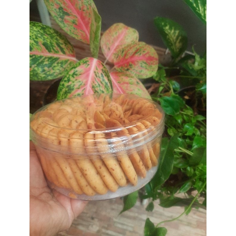 

LIDAH KUCING KEJU